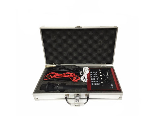 Студийный комплект со звуковой картой L8, микрофоном E300 в металлическом чемоданчике