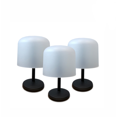 Подставка для головного убора, шапок, настольная стойка HAT-ZM02, цвет белый, 3 шт