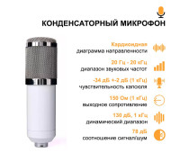Конденсаторный микрофон BM-800, стойка, USB адаптер, поп-фильтр, ветрозащита, два держателя, белый