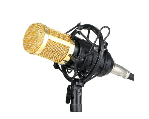 Конденсаторный микрофон BM-800, металлический держатель паук, ветрозащита, кабель XLR - mini-jack 3.5 mm, черно-золотой