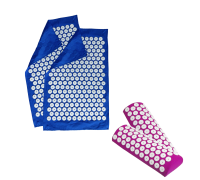 Комплект: 2 подушки фиолетовые с поролоном+2 коврика однослойных синих