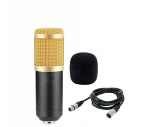 Микрофон BM-800 конденсаторный, черно-золотой, с ветрозащитой и кабелем XLR (M) - XLR (F), 1.5 м