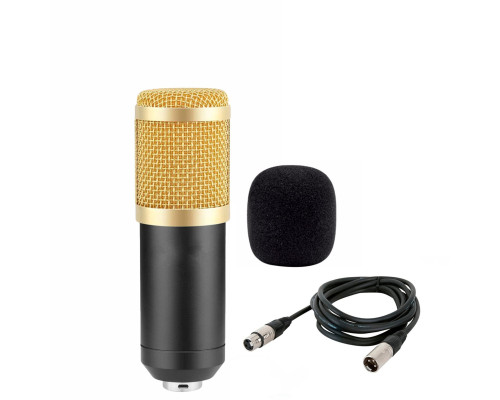Микрофон BM-800 конденсаторный, черно-золотой, с ветрозащитой и кабелем XLR (M) - XLR (F), 1.5 м