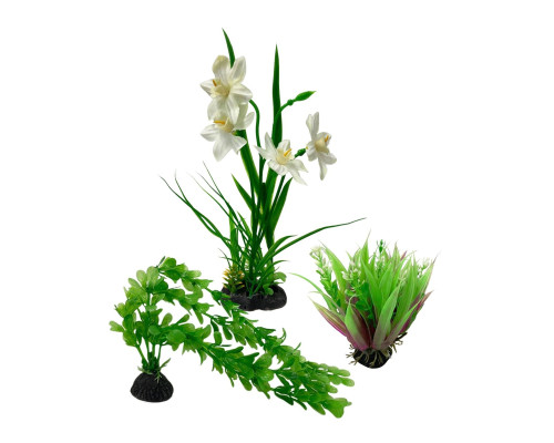 Декор для аквариума, растения искусственные, Рео покрывальчатое, Перистолистник зелёный и Нарцисс