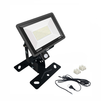 Прожектор 100 Вт с датчиком движения на настенно-потолочном креплении FK-PRJ