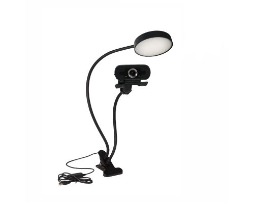 Веб-камера Full HD 1080P WEB-ZK со встроенным микрофоном на подставке с гибкой светодиодной лампой SL-09-PR