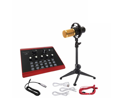 Студийный комплект со звуковой картой L8, микрофоном BM800 черно-золотым в металлическом чемоданчике