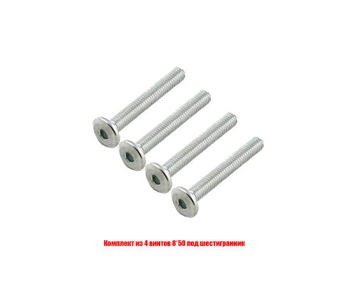 Комплект из 4 винтов 8*50 под шестигранник