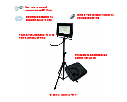 Светодиодный прожектор 30 Вт, 6500K, с сумкой, на штативе PSS-PRJ